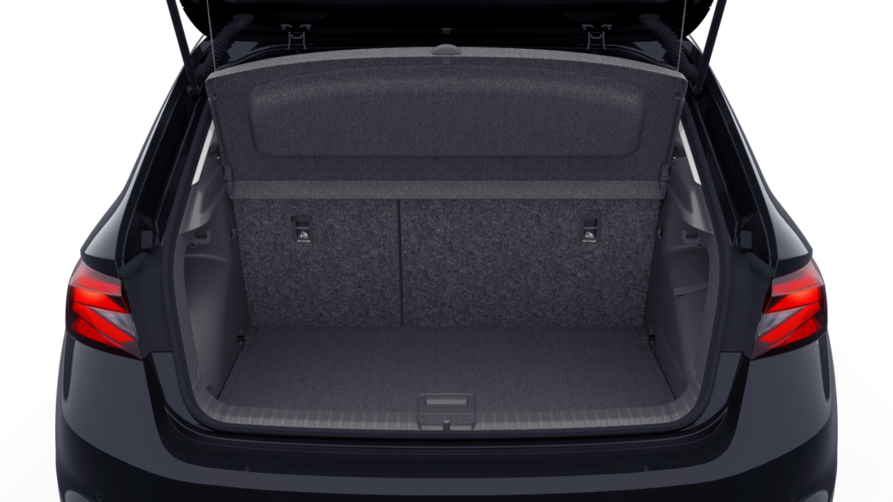 Bild eines Fabia Selection TSI