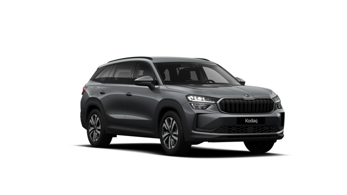 Bild eines Kodiaq 4x4 Selection TSI DSG