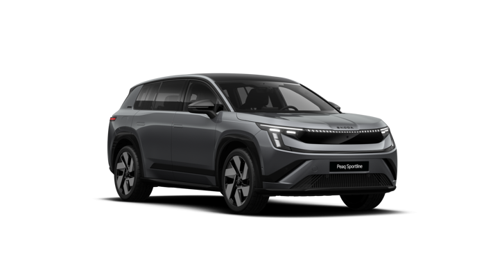 Bild eines Peaq Sportline 90x