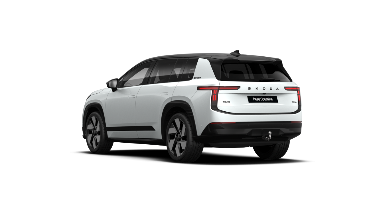Bild eines Peaq Sportline 90x