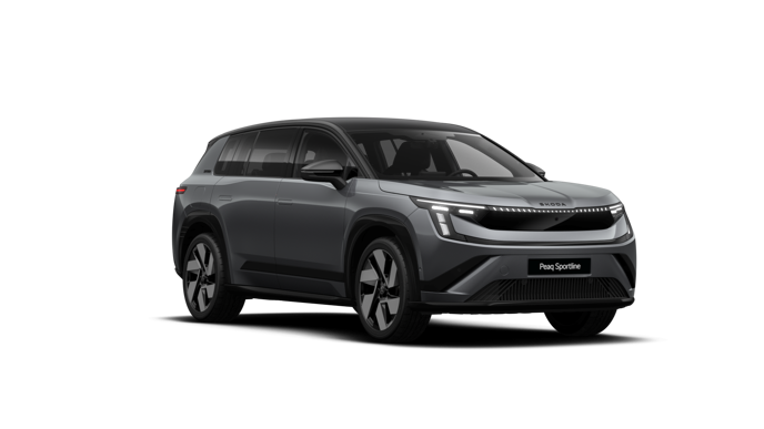 Bild eines Peaq Sportline 90x