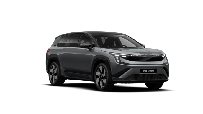 Bild eines Peaq Sportline 90x