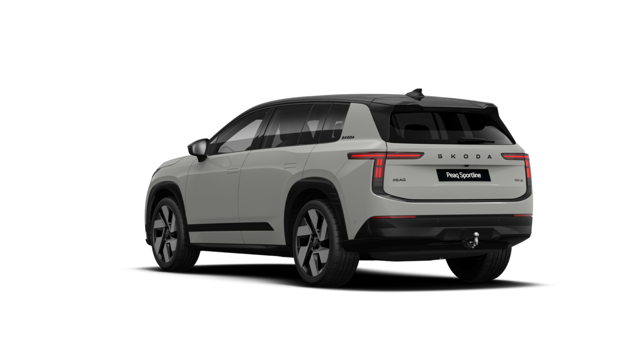 Bild eines Peaq Sportline 90