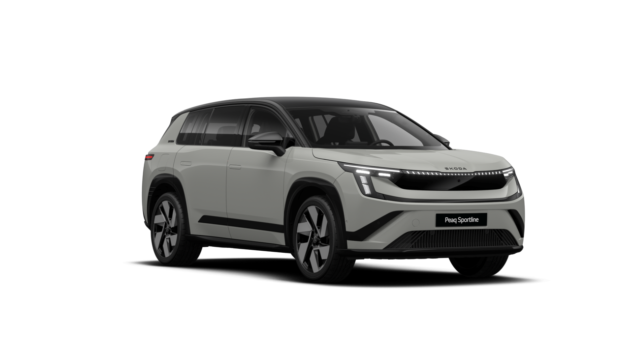 Bild eines Peaq Sportline 90