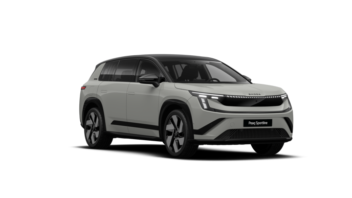 Bild eines Peaq Sportline 90