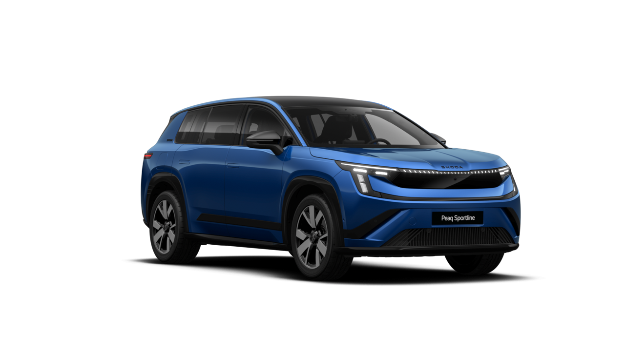 Bild eines Peaq Sportline 90