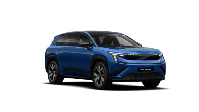 Bild eines Peaq Sportline 90
