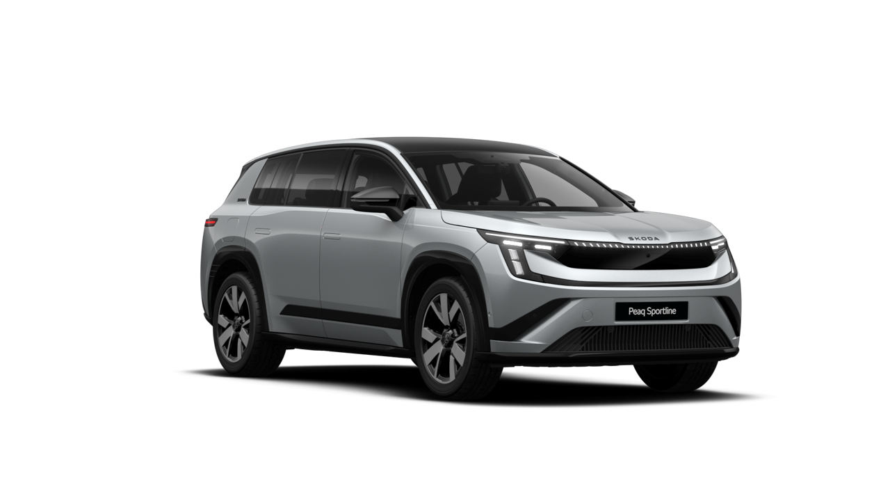 Bild eines Peaq Sportline 90