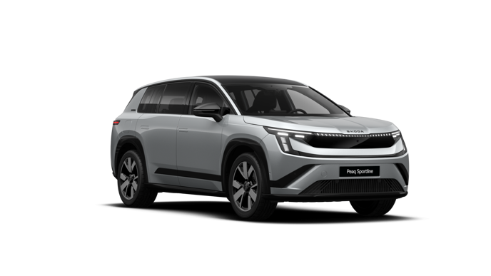 Bild eines Peaq Sportline 90