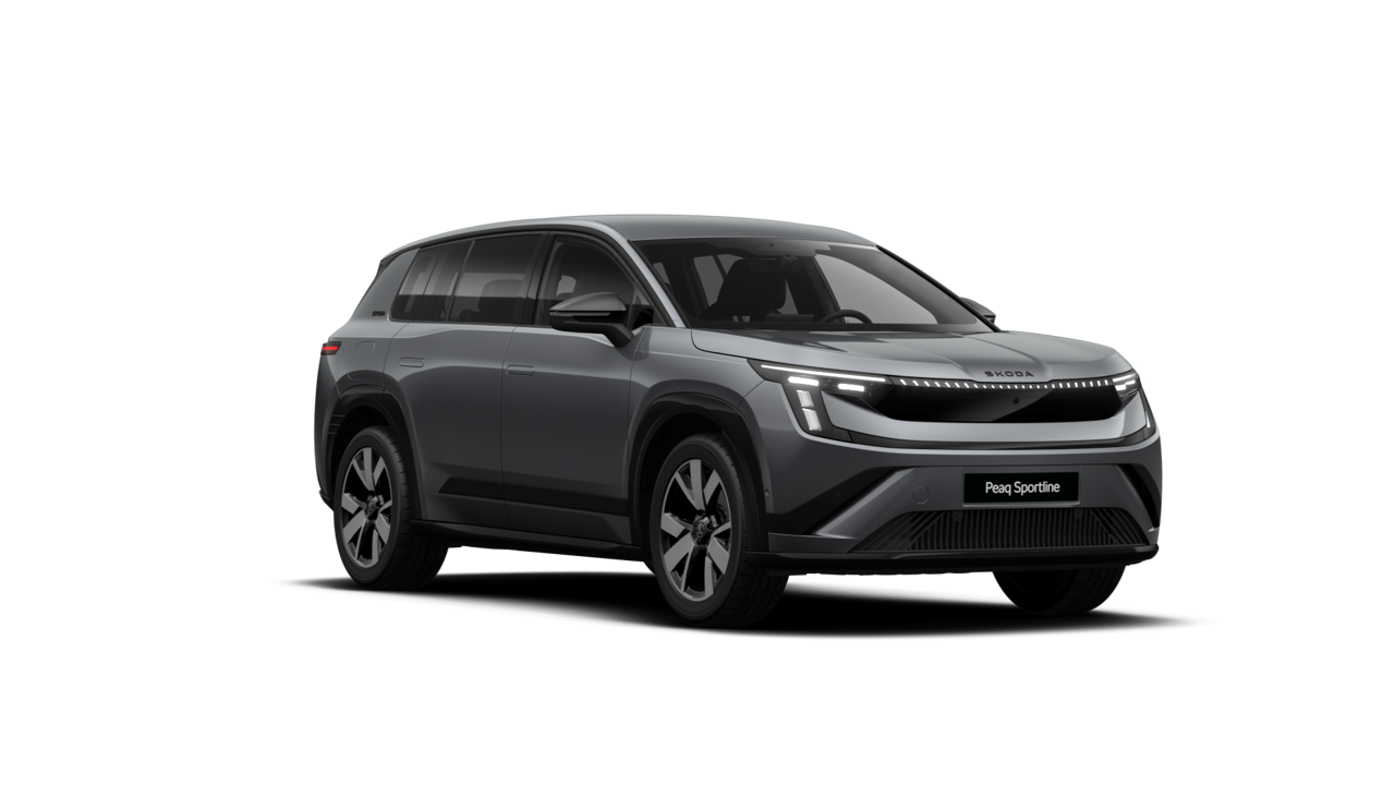 Bild eines Peaq Sportline 90