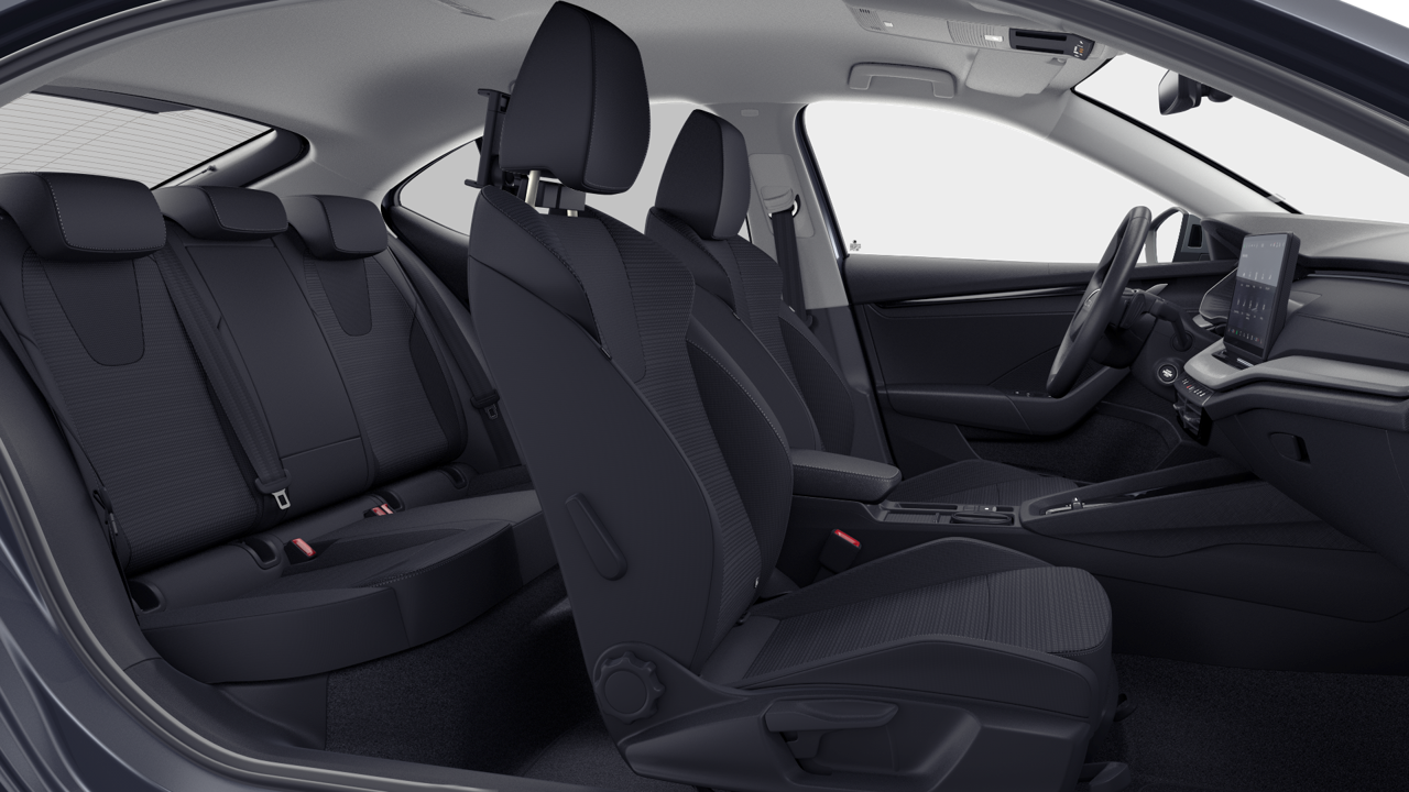 Bild eines Octavia Selection TDI DSG