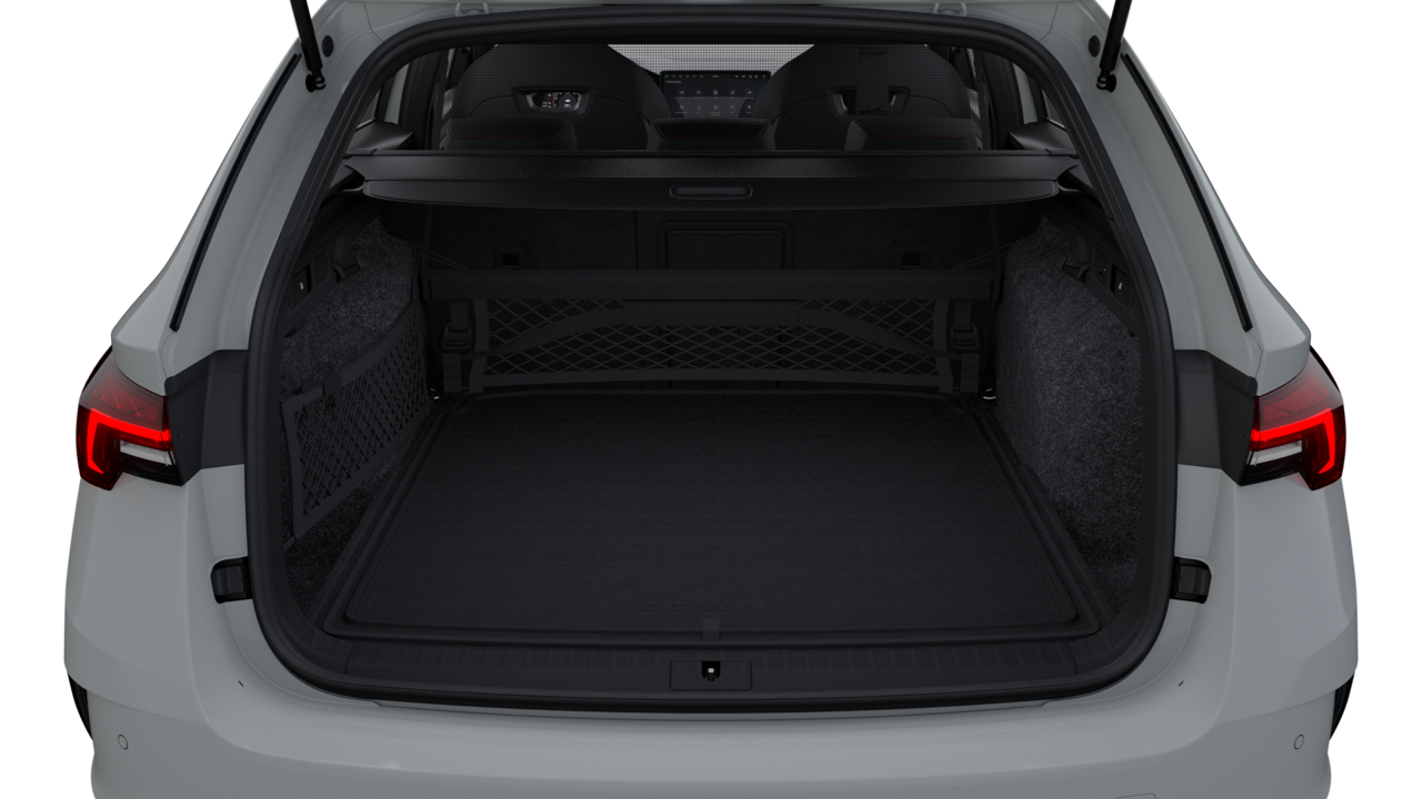 Bild eines Octavia Combi RS