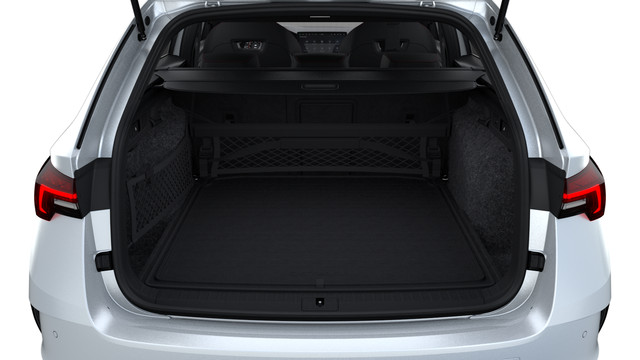 Bild eines Octavia Combi RS