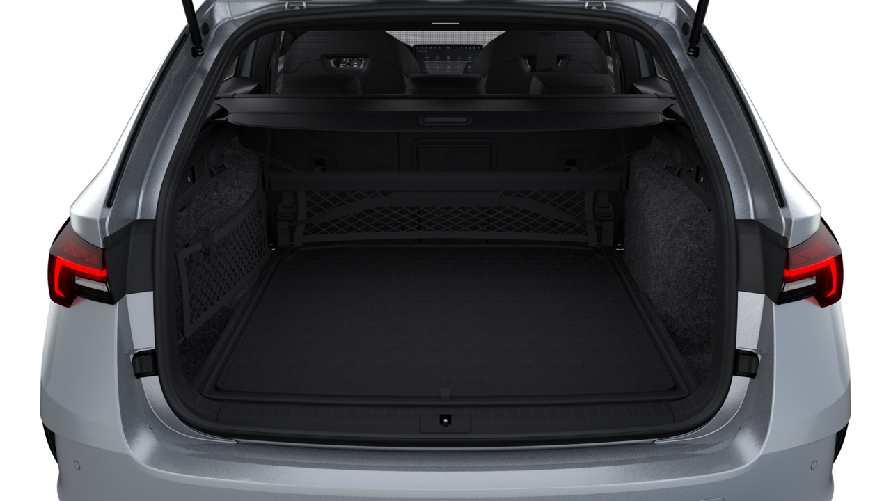 Bild eines Octavia Combi RS