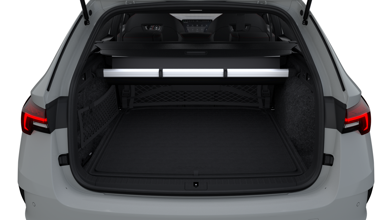 Bild eines Octavia Combi RS