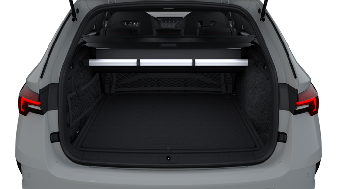 Bild eines Octavia Combi RS