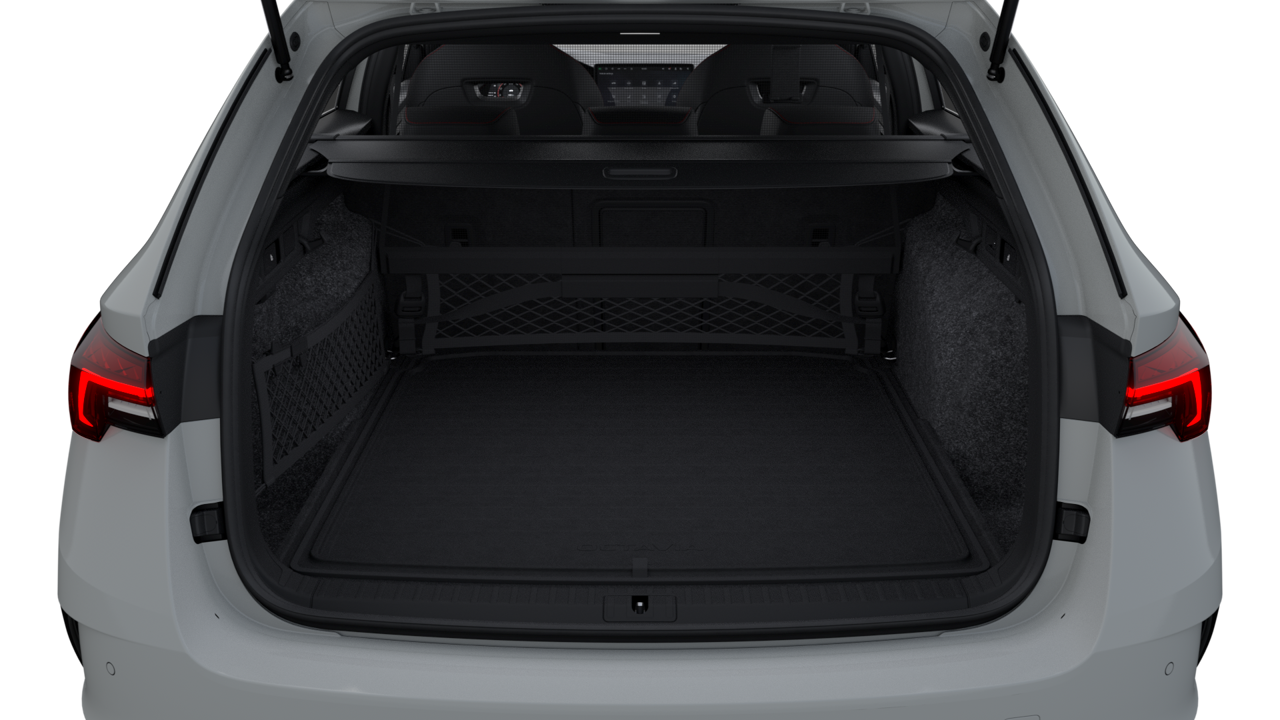 Bild eines Octavia Combi RS