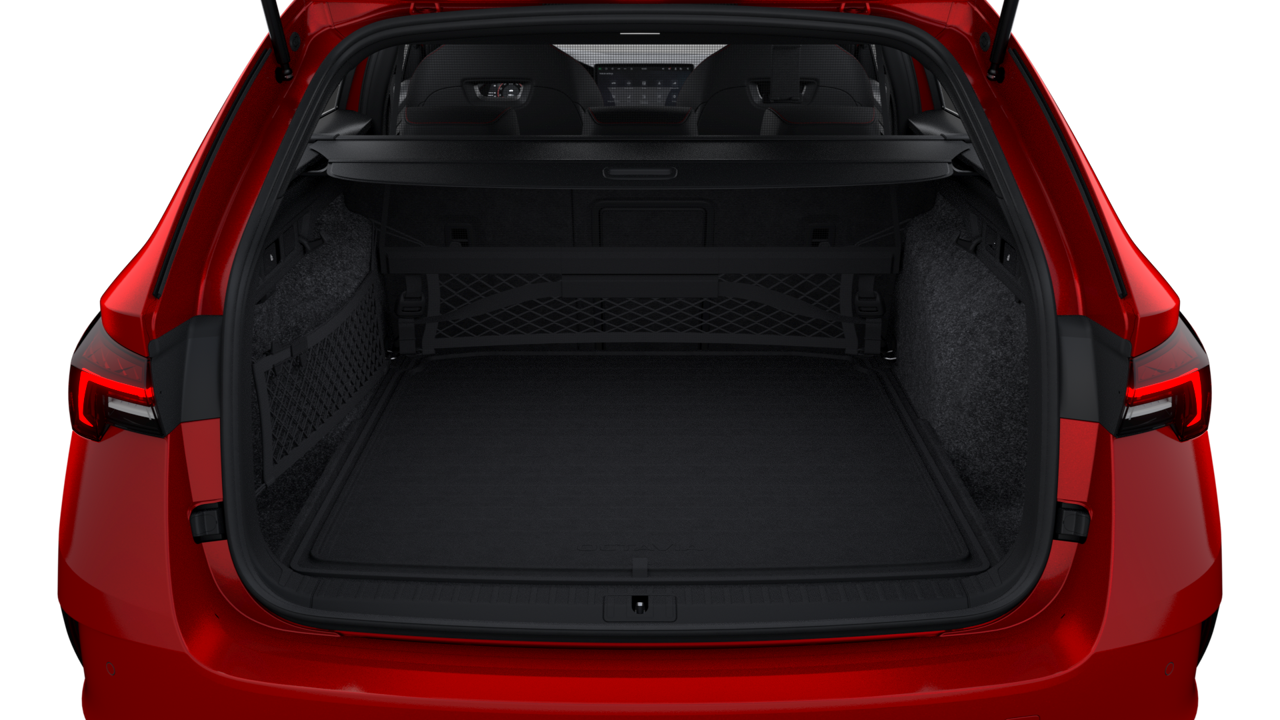 Bild eines Octavia Combi RS