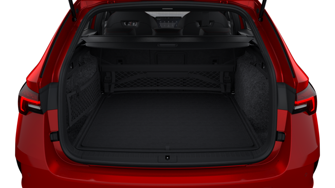 Bild eines Octavia Combi RS
