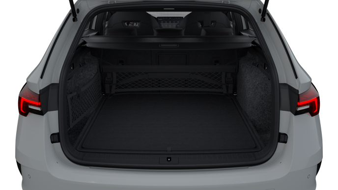 Bild eines Octavia Combi RS
