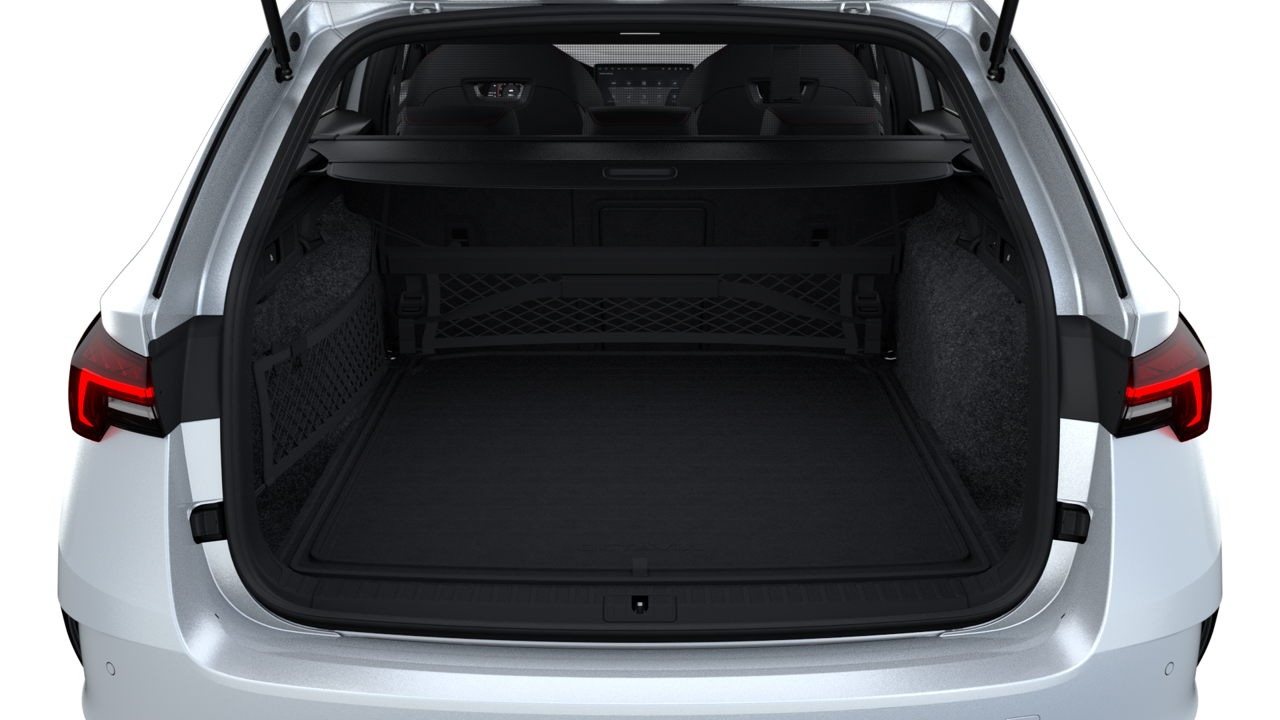 Bild eines Octavia Combi RS