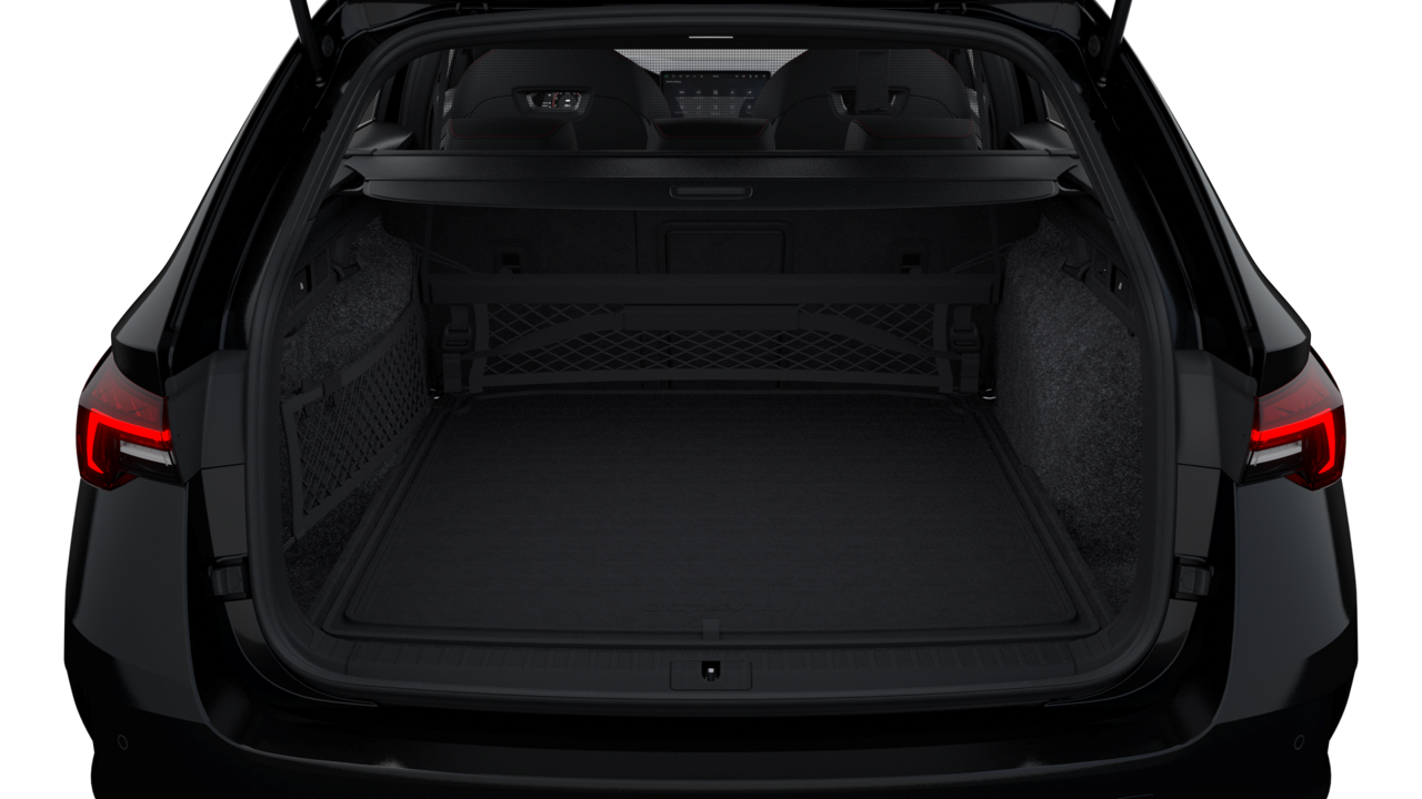 Bild eines Octavia Combi RS