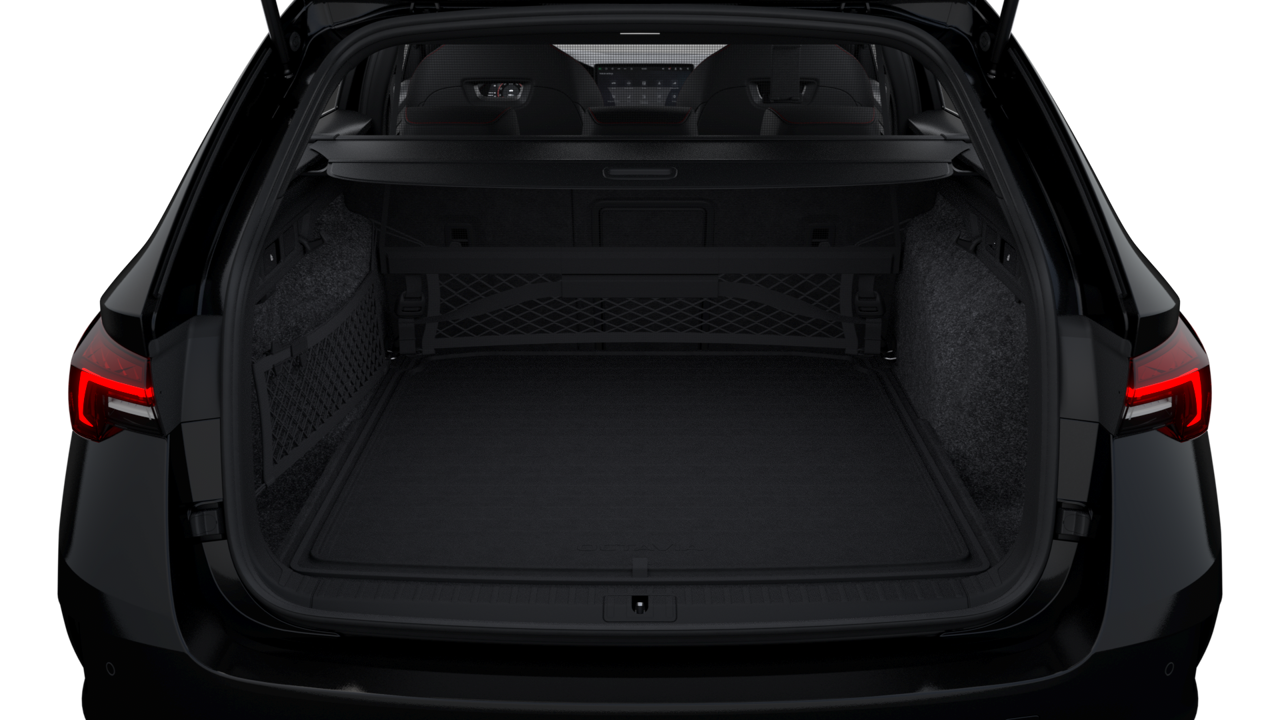 Bild eines Octavia Combi RS