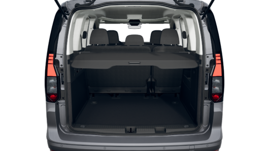 Bild eines Caddy Life TDI