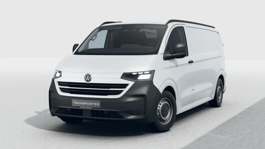Bild eines Transporter Kastenwagen LR TDI