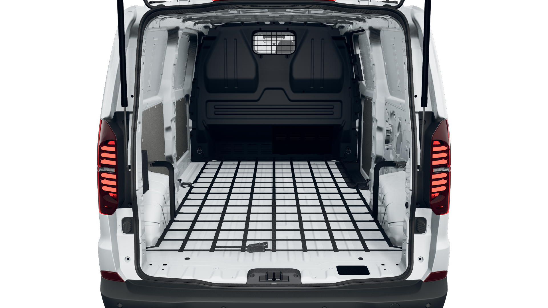 Bild eines e-Transporter Kastenwagen LR 100 kW