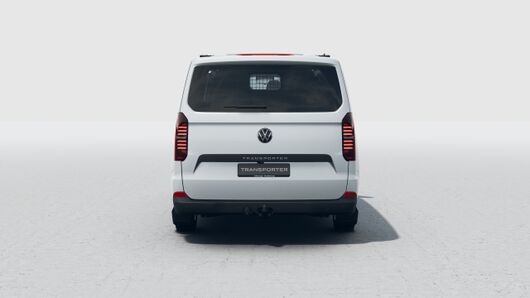 Bild eines Transporter Kastenwagen LR TDI
