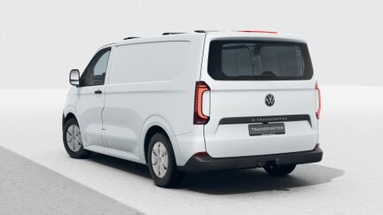 Bild eines e-Transporter Kastenwagen