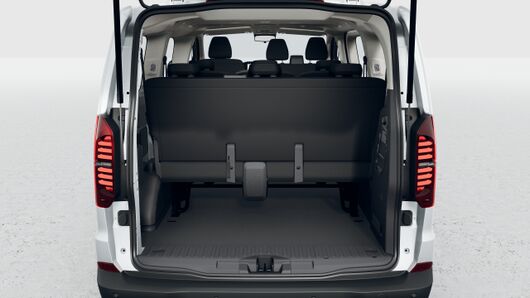 Bild eines e-Transporter Kombi 100 kW