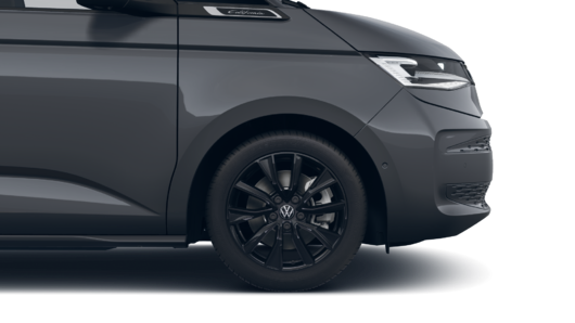 Bild eines California Beach Camper TDI