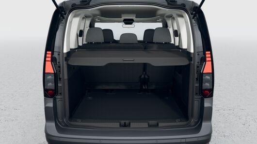Bild eines Caddy Life TDI