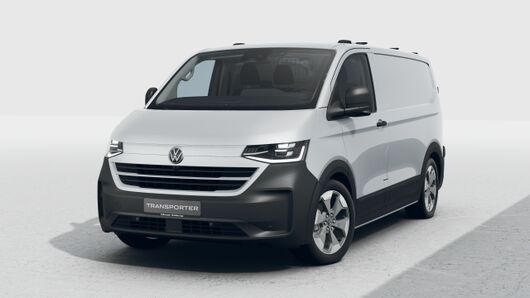 Bild eines Transporter Kasten PanAmericana TDI 4M