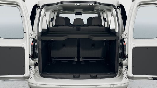 Bild eines Caddy Life Maxi TDI