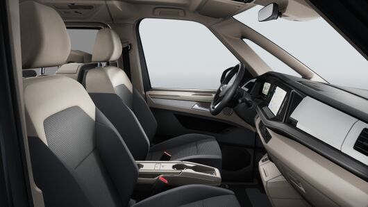 Bild eines Multivan Business TDI