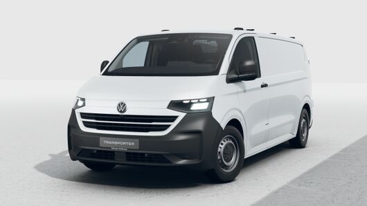 Bild eines Transporter Kastenwagen LR TDI