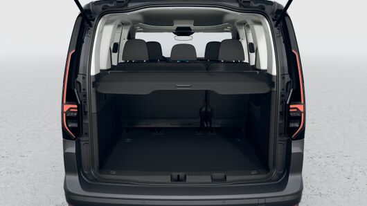 Bild eines Caddy Edition TDI