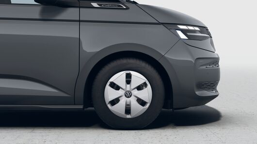Bild eines California Beach Camper TDI