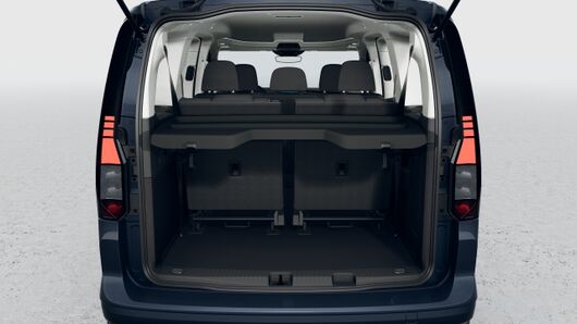 Bild eines Caddy Life Maxi TDI