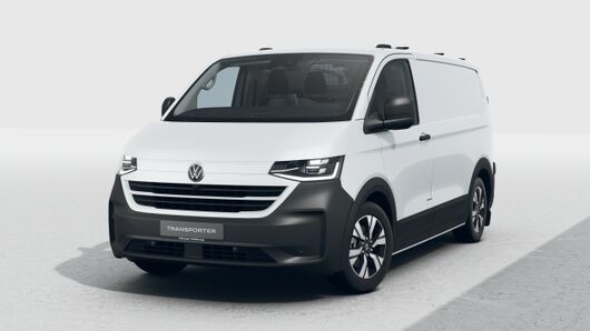 Bild eines Transporter Kasten PanAmericana TDI 4M