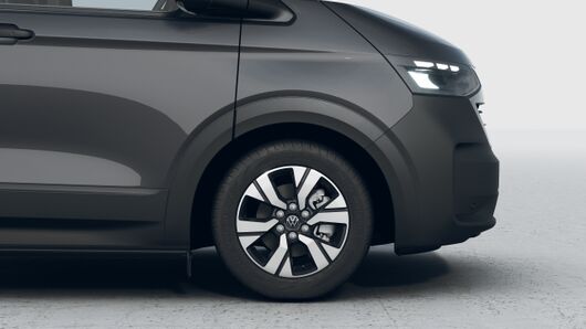Bild eines Transporter Kasten PanAmericana TDI
