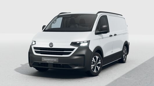 Bild eines Transporter Kasten PanAmericana TDI