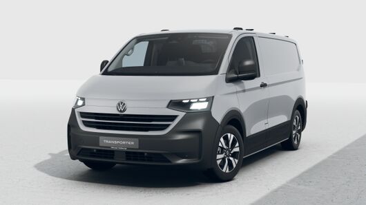Bild eines Transporter Kasten PanAmericana TDI