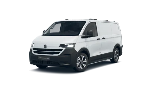 Bild eines Transporter Kasten PanAmericana TDI 4M