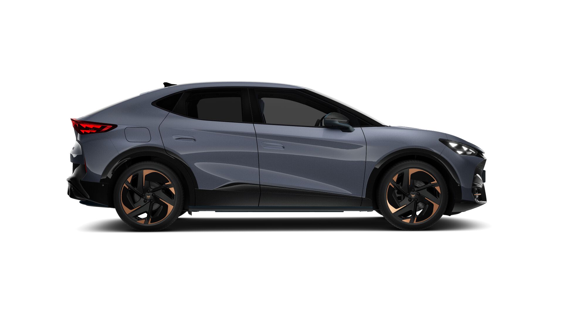 Bild eines Tavascan VZ Adrenaline 4Drive250kW/340PS
