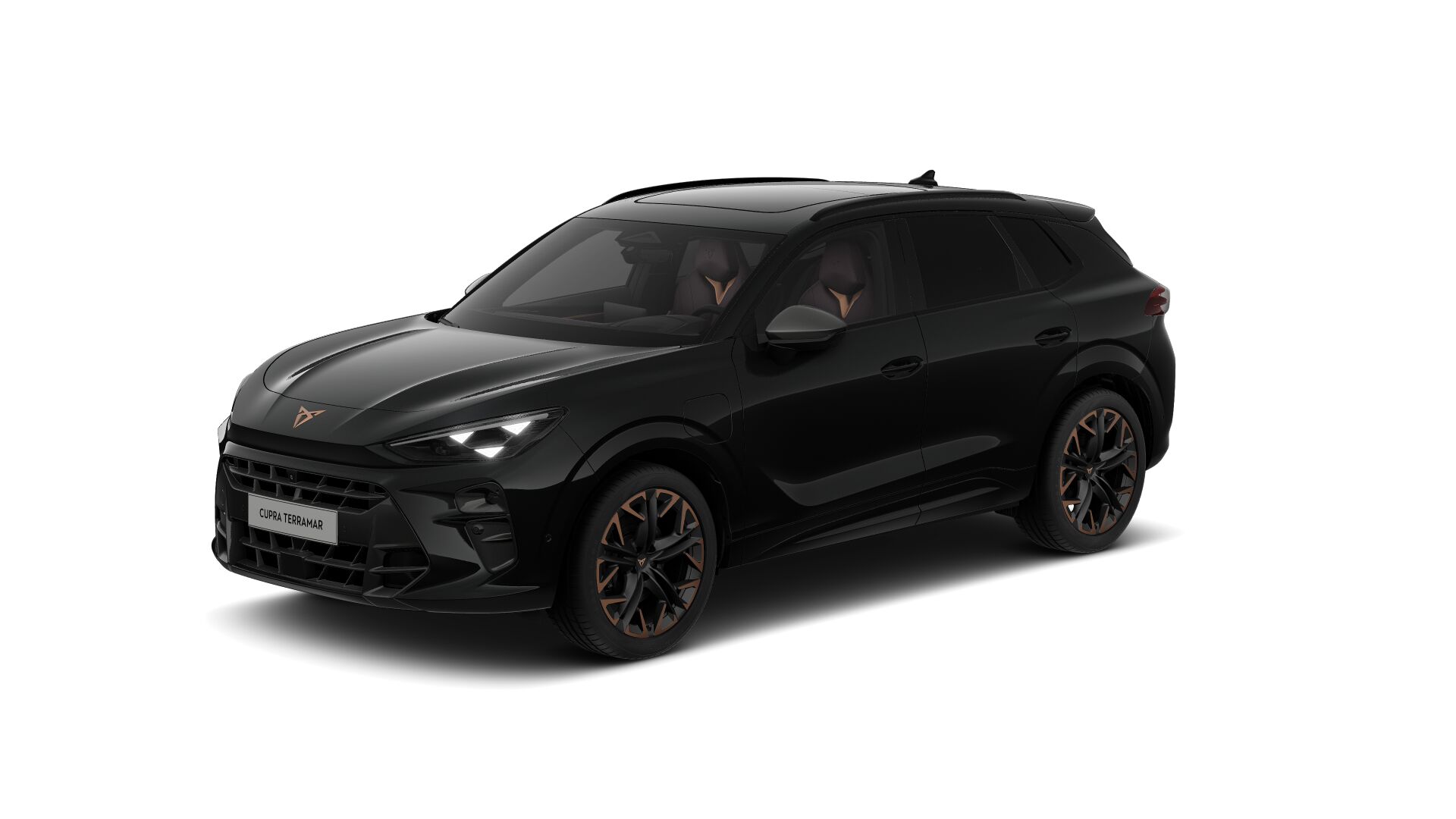 Bild eines Terramar VZ e-HYBRID 272 PS DSG