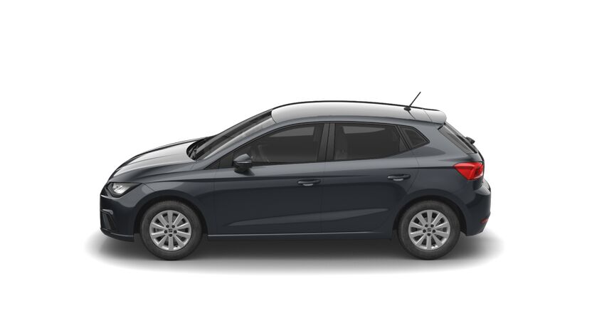 Bild eines Ibiza Style 1.0 TSI DSG
